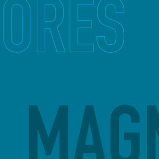 Açores - Magnéticos