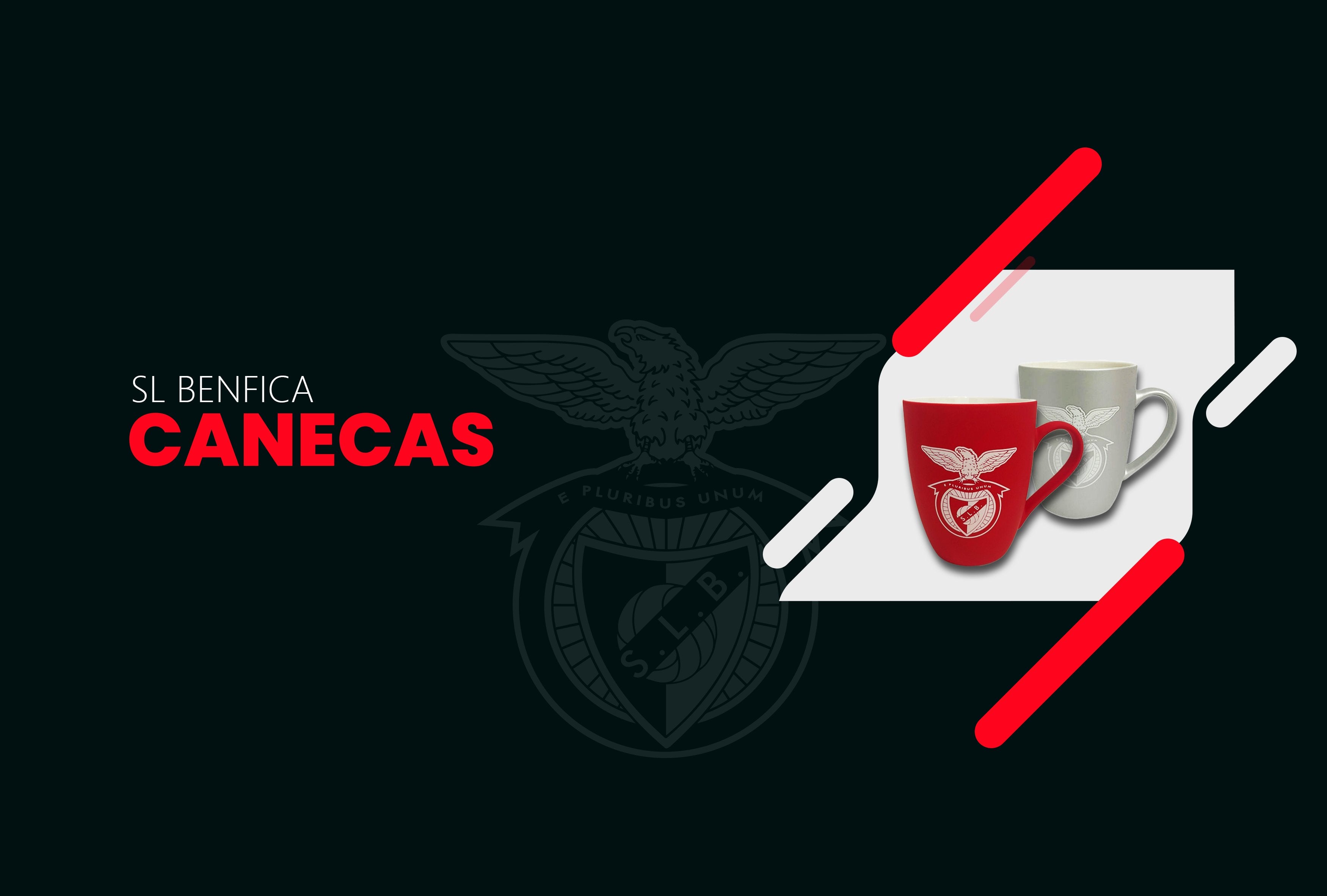 SL BENFICA - CANECAS