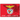 SL Benfica Giant Flag (SLB-013/J)