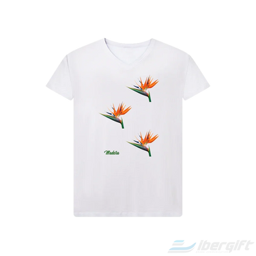 Azores T-Shirt (TS2023/11)
